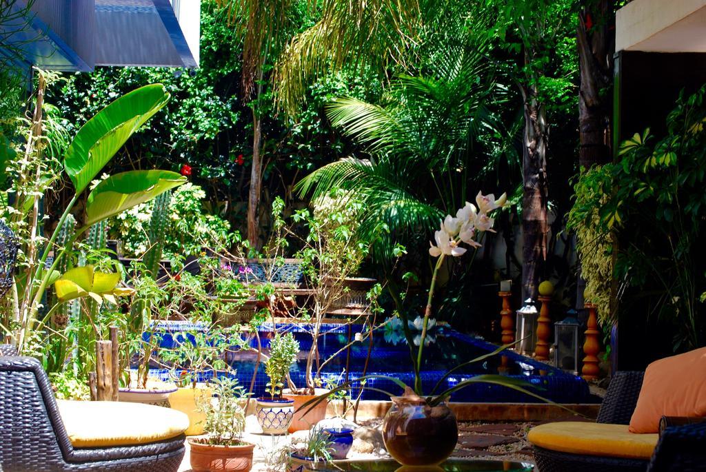 Dar Diafa Bed & Breakfast Casablanca Bagian luar foto